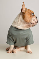 T-SHIRT AURA OLIVA  / MANGO COUTURE