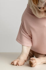 T-SHIRT AURA BLUSH  / MANGO COUTURE