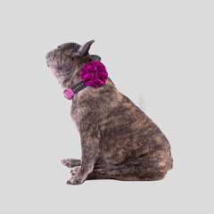 COLLAR DE  FLOR  / BÁSICO BERRY