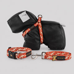 SET ARNÉS + COLLAR + TRAÍLLA / GARZA